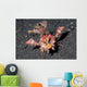 Spiny Devilfish Walks along Wall Decal