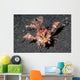 Spiny Devilfish Walks along Wall Decal
