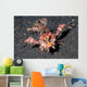 Spiny Devilfish Walks along Wall Decal