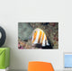 Orange-banded Coralfish Coradion Chrysozonus Wall Decal