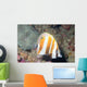 Orange-banded Coralfish Coradion Chrysozonus Wall Decal