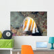 Orange-banded Coralfish Coradion Chrysozonus Wall Decal