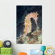 Thorny Seahorse Soft Coral Wall Decal