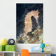 Thorny Seahorse Soft Coral Wall Decal