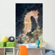 Thorny Seahorse Soft Coral Wall Decal