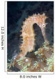 Thorny Seahorse Soft Coral Wall Decal