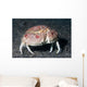Box Crab Calappa Philargius Wall Decal Design 1