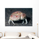 Box Crab Calappa Philargius Wall Decal Design 1