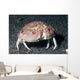 Box Crab Calappa Philargius Wall Decal Design 1