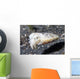 Papuan Cuttlefish Sepia Papuensis Wall Decal