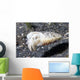 Papuan Cuttlefish Sepia Papuensis Wall Decal