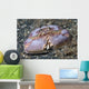 Box Crab Rests Ocean Wall Decal