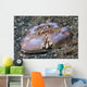 Box Crab Rests Ocean Wall Decal
