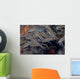 School Juvenile Striped Catfish Wall Decal
