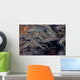 School Juvenile Striped Catfish Wall Decal