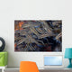 School Juvenile Striped Catfish Wall Decal