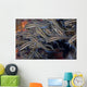 School Juvenile Striped Catfish Wall Decal