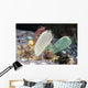 Tunicates Also Known as Wall Decal
