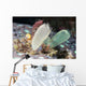 Tunicates Also Known as Wall Decal