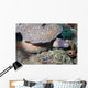White-eyed Moray Eel Sidereal Wall Decal Design 2