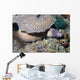 White-eyed Moray Eel Sidereal Wall Decal Design 2