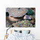 White-eyed Moray Eel Sidereal Wall Decal Design 2