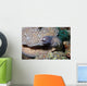 White-eyed Moray Eel Sidereal Wall Decal Design 1