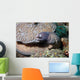 White-eyed Moray Eel Sidereal Wall Decal Design 1