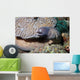 White-eyed Moray Eel Sidereal Wall Decal Design 1