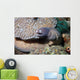 White-eyed Moray Eel Sidereal Wall Decal Design 1