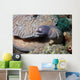 White-eyed Moray Eel Sidereal Wall Decal Design 1