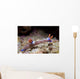 Nembrotha Purpureolineata Nudibranch Lembeh Wall Decal