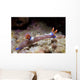 Nembrotha Purpureolineata Nudibranch Lembeh Wall Decal