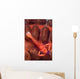 Imperial Shrimp Sea Cucumber Wall Decal Design 1