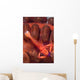Imperial Shrimp Sea Cucumber Wall Decal Design 1