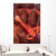 Imperial Shrimp Sea Cucumber Wall Decal Design 1