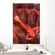 Imperial Shrimp Sea Cucumber Wall Decal Design 1
