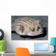 Striped Puffer Arothron Manilensis Wall Decal