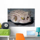 Striped Puffer Arothron Manilensis Wall Decal