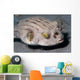 Striped Puffer Arothron Manilensis Wall Decal