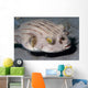 Striped Puffer Arothron Manilensis Wall Decal