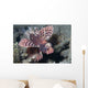 Shortfin Lionfish Dendrochirus Brachypterous Wall Decal