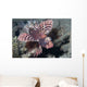 Shortfin Lionfish Dendrochirus Brachypterous Wall Decal