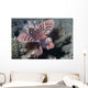 Shortfin Lionfish Dendrochirus Brachypterous Wall Decal