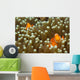 Pair False Clown Anemonefish Wall Decal