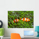 Pair Clown Anemonefish Sea Wall Decal
