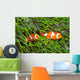 Pair Clown Anemonefish Sea Wall Decal