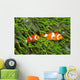 Pair Clown Anemonefish Sea Wall Decal