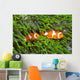 Pair Clown Anemonefish Sea Wall Decal