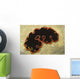 Glorious Flatworm Pseudobiceros Gloriosus Wall Decal